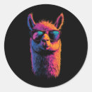 Search for drama llama stickers Colourful