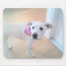 Search for sweet dog mouse mats Doggy
