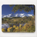 Search for juan mouse mats Fall