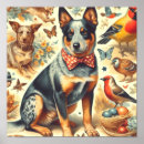 Search for cattle dog posters Australian