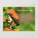 Search for lantana flower postcards Garden