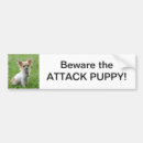 Search for chihuahua bumper stickers Cute