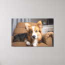 Search for hair art Puppy