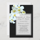 Search for plumeria wedding invitations Frangipani