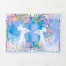 Search for white peacock Floral