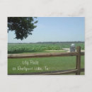 Search for lily pad postcards Water