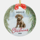 Search for black labrador christmas tree decorations Puppy
