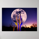 Search for monument valley print posters Cactus