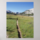 Search for backpack posters Forest