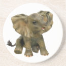 Search for baby dumbo Africa