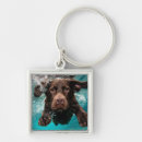 Search for dynamic key rings Animal lover