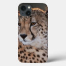 Search for differentiated cases Close up