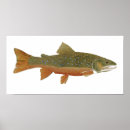 Search for rainbow trout art Thom