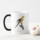 Search for parakeet mugs Illustration