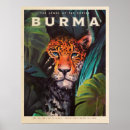 Search for rainforest jungle posters Cat