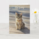 Search for i am sorry cards Apologies
