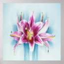 Search for purple tiger posters Flower