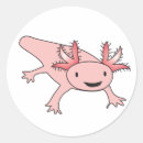 Search for axolotl salamander stickers Cute