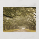 Search for nobody postcards Tranquil