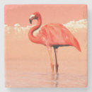 Search for pink flamingo coasters Nature