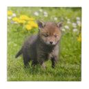 Search for animal tiles Puppy