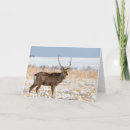Search for field cards Wildlife