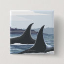 Search for orca badges Whales