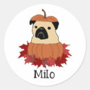 Search for pug lovers stickers Cute