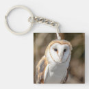 Search for barn owl key rings Animal