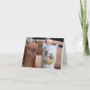 Search for boss wishes birthday cards Co worker