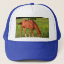 Search for horses hats Farm