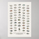 Search for jungle posters Wildlife