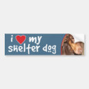 Search for doberman bumper stickers Canine