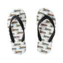 Search for duck flipflops Bird