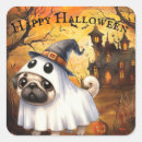 Search for ghostie Autumn