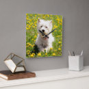Search for westie clocks Cute