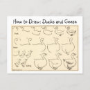 Search for duck drawing postcards Vintage