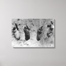 Search for four animals canvas prints Cute