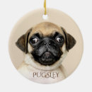 Search for pug christmas tree decorations Pet
