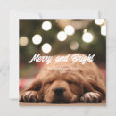 Search for merry and bright christmas invitations Chic