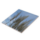 Search for grass tiles Sky