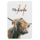 Search for cow magnets Portrait