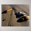 Search for pebble posters Landscape
