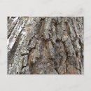 Search for barking postcards Brown