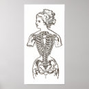Search for corset posters Victorian