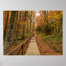 Search for autumn posters Path