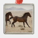 Search for namibia christmas tree decorations Animal