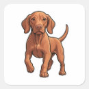 Search for vizsla stickers Animal