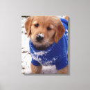 Search for retriever canvas prints Puppy