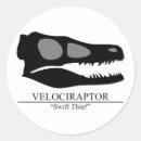 Search for paleontology stickers Bones